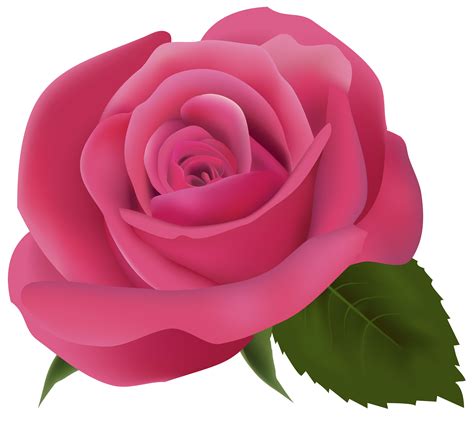 rose background images|rose background clip art.